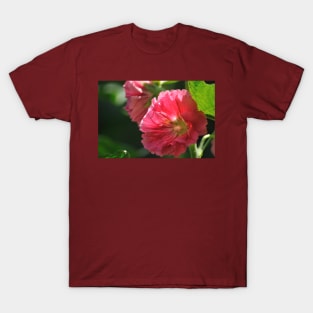 Hollyhock 7 T-Shirt